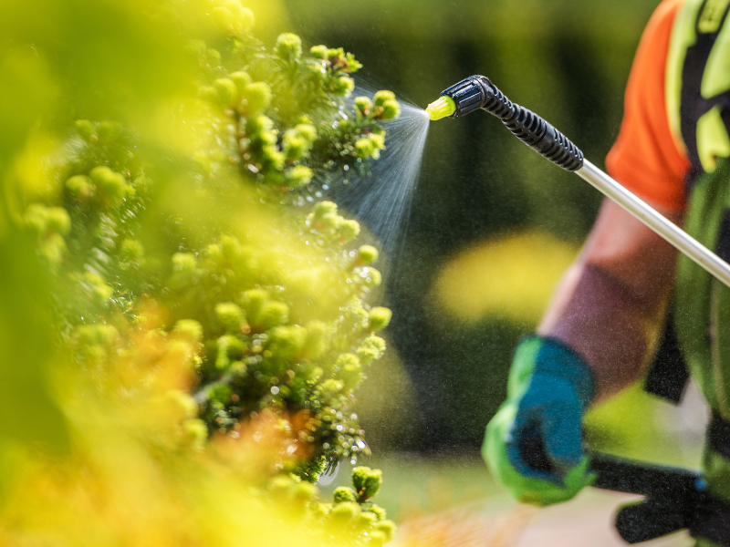 Fertilizers
