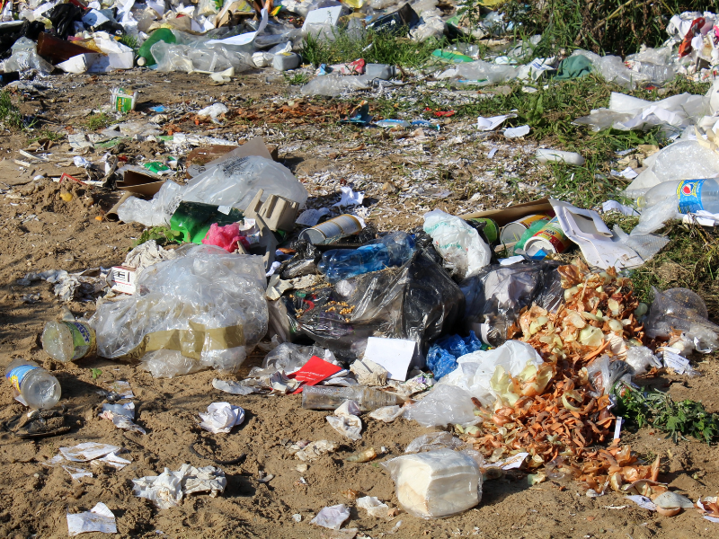 Litter